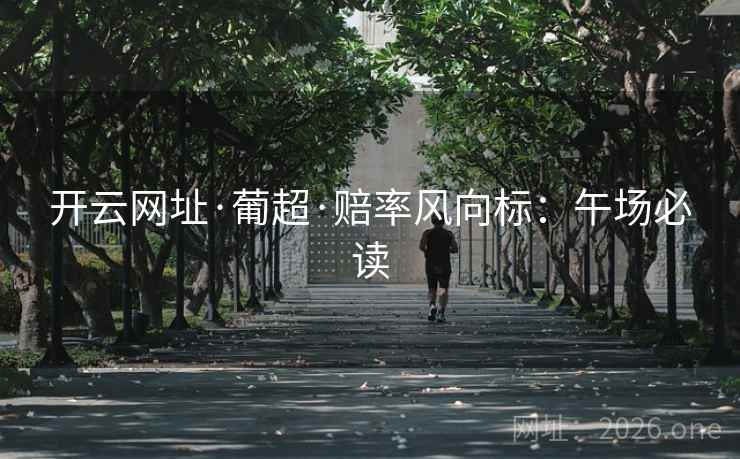 开云网址·葡超·赔率风向标：午场必读