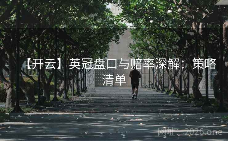 【开云】英冠盘口与赔率深解：策略清单